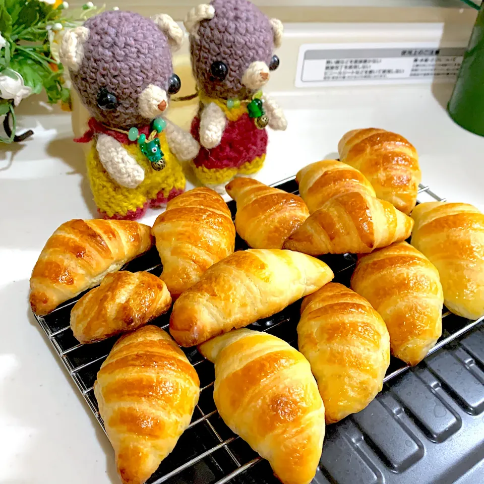 パネトーネマザーでミニクロワッサン焼き立て(≧∀≦)|chagashiさん