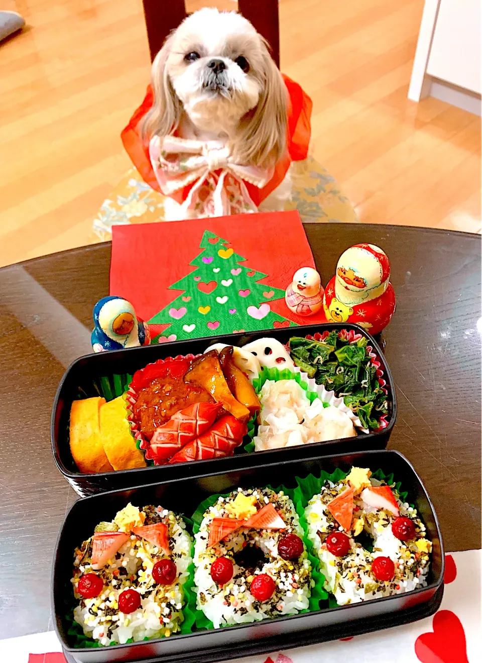 12月20日　プクパパお弁当|プクママさん