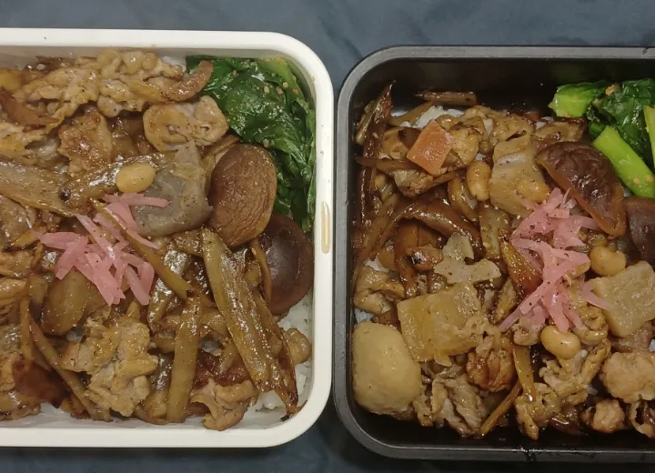 豚牛蒡弁当🐷|ぱいんてーるさん