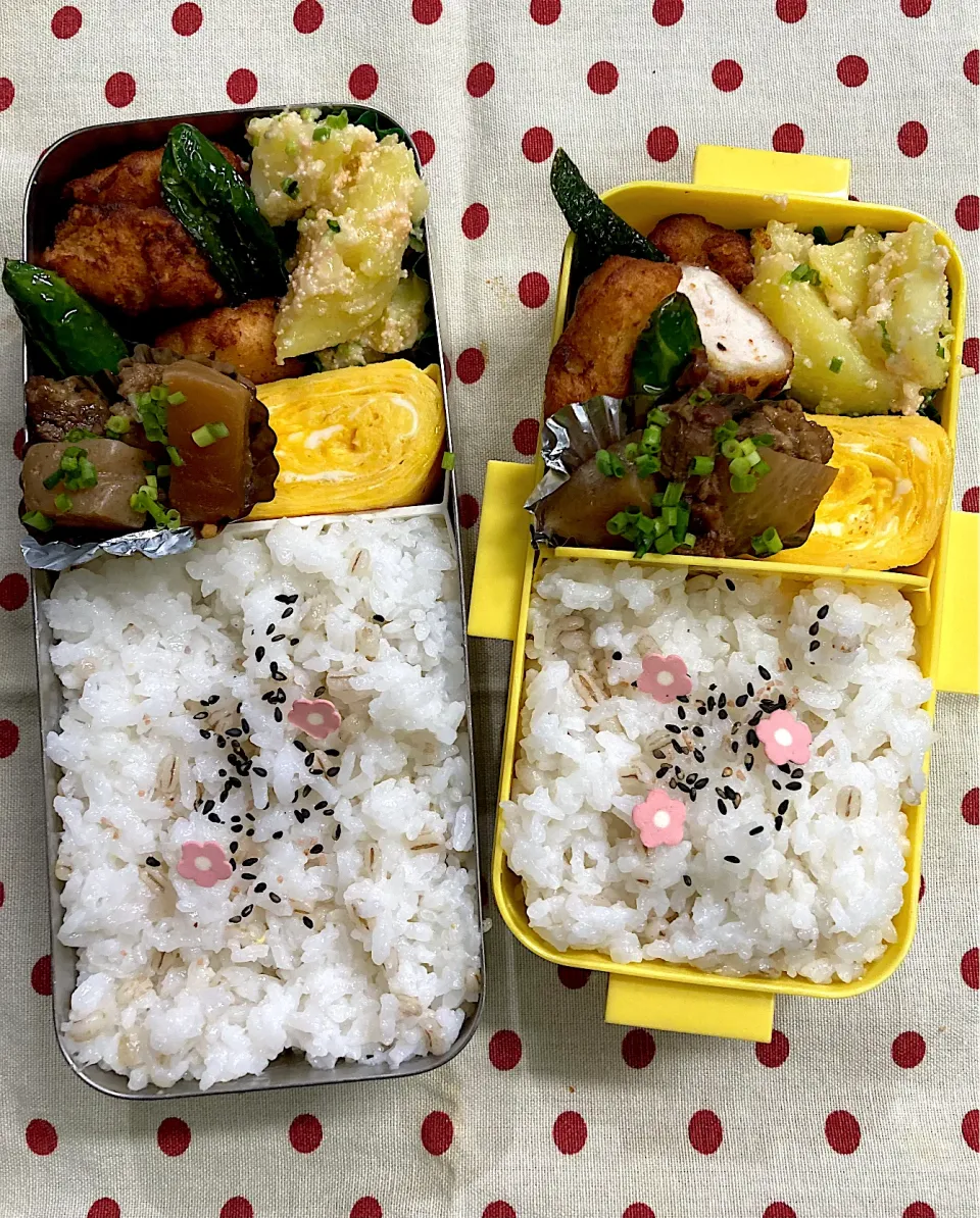 Snapdishの料理写真:12月20日　週の始まり弁当🍱|sakuramochiさん