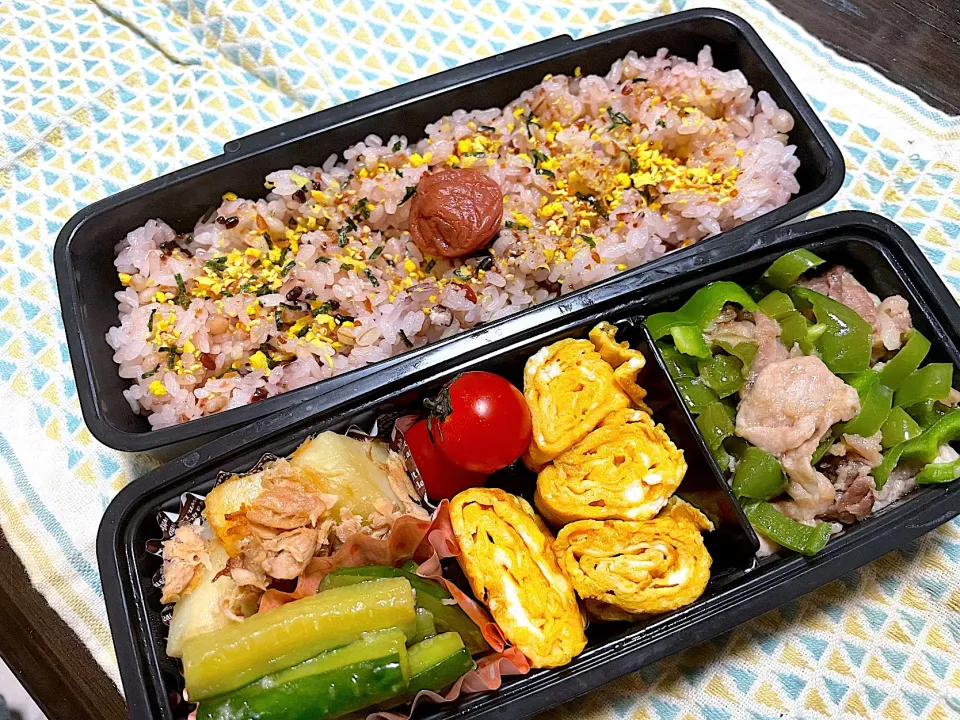 お弁当★豚肉ピーマン炒め、卵焼き、じゃがいものツナ煮、きゅうりのめんつゆ生姜漬け|ハルさん