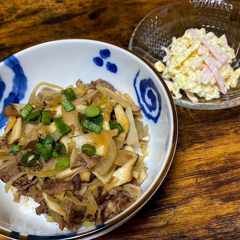 牛丼とコールスロー|eriiichiさん