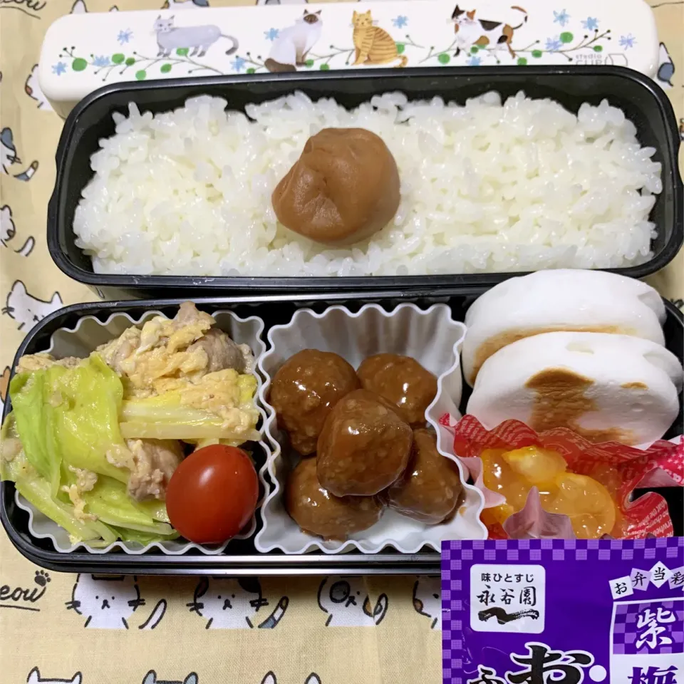 娘のお弁当12/22|iguigupopさん