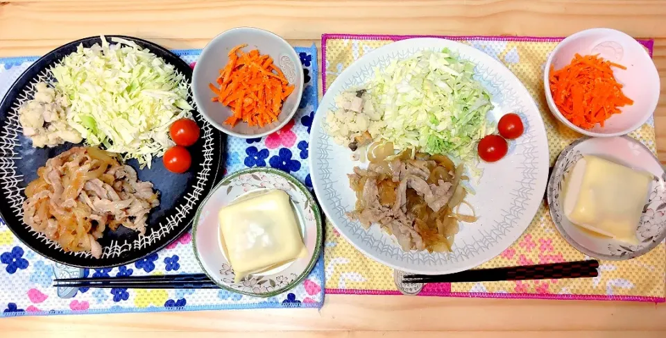 しょうが焼き
キャベツ トマト ポテトサラダ
ニンジンのナムル
おかかチーズとうふ|ひろゴーヤさん