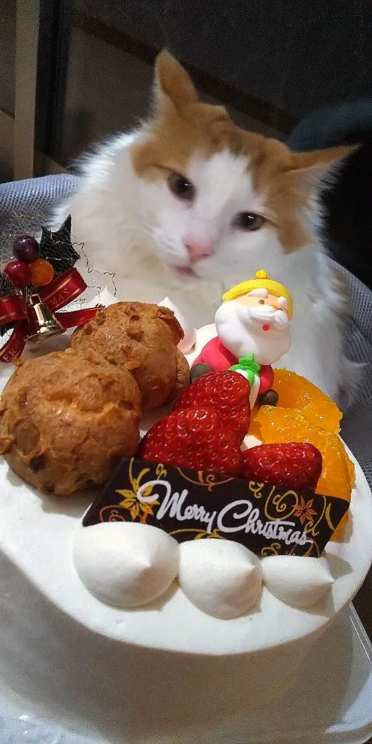 Merry Christmasマグノリさんのケーキ⛄️🎄|さくらんぼさん