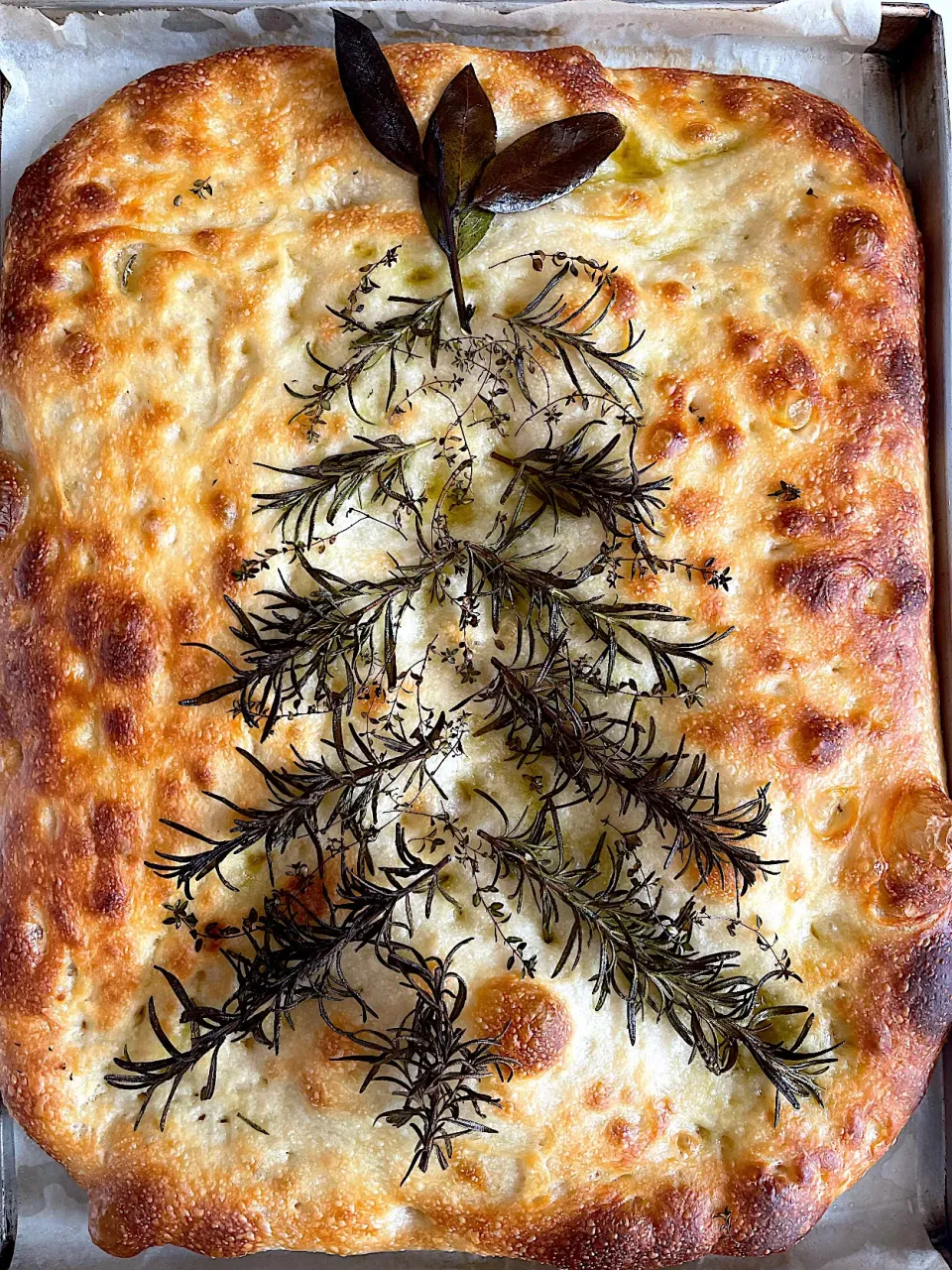 Rosemary sourdough focaccia|12Dragonさん