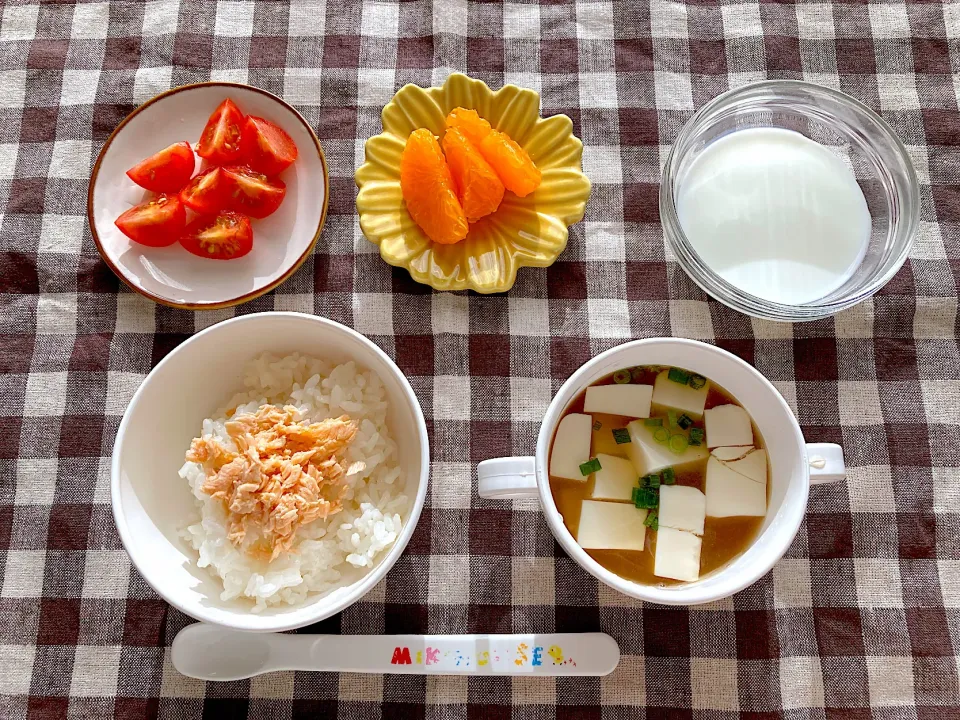 Snapdishの料理写真:【離乳食】鮭ごはん、豆腐のお味噌汁、ミニトマト、みかん、牛乳|sayaさん