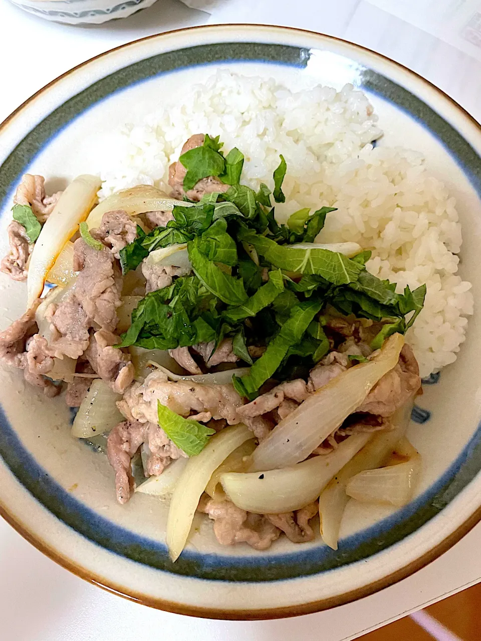 野菜肉炒め　大葉付き|D-fukuさん