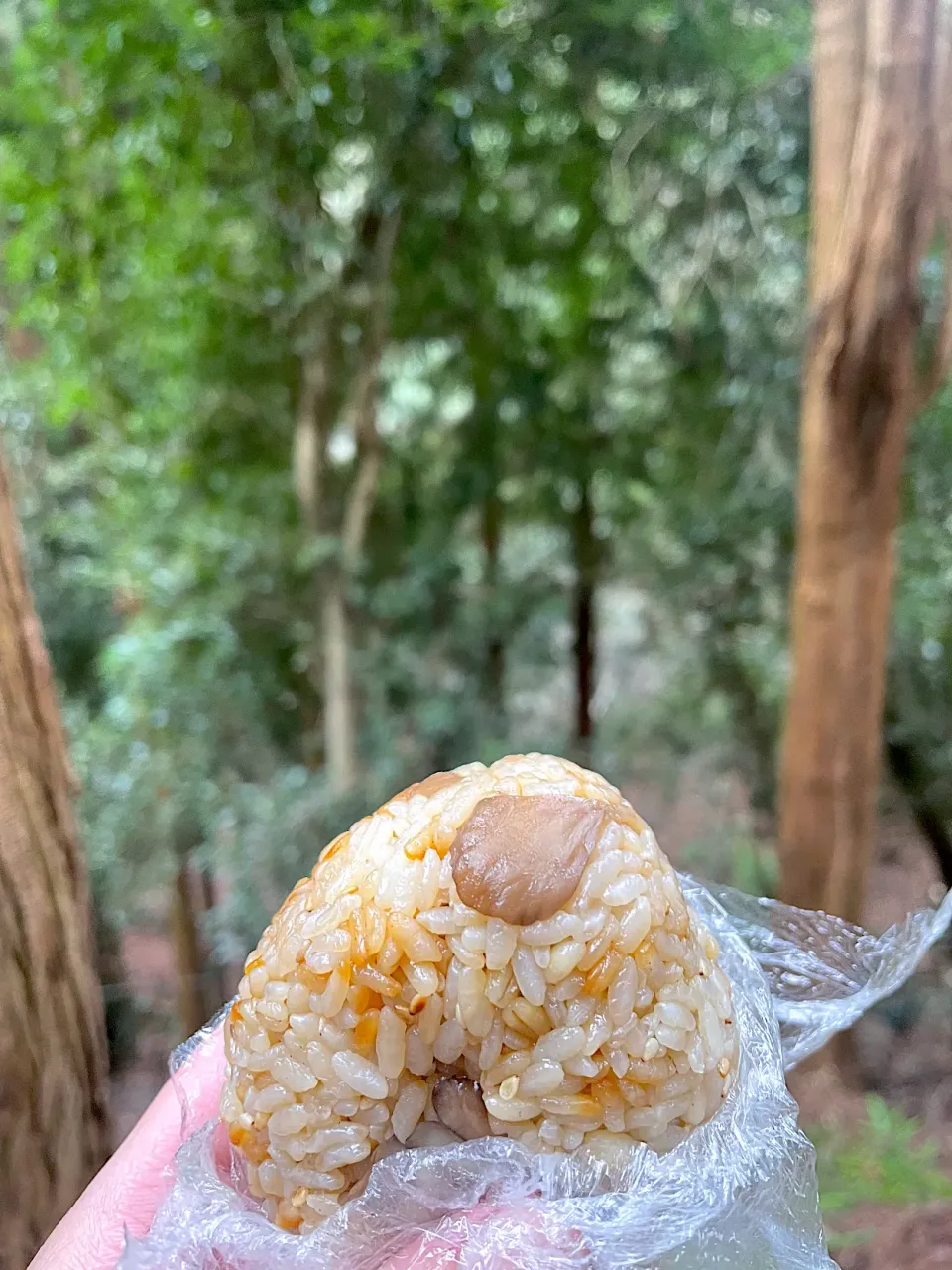 まいたけご飯おにぎり🍙 in 山の中|くろねこっく🐈‍⬛さん