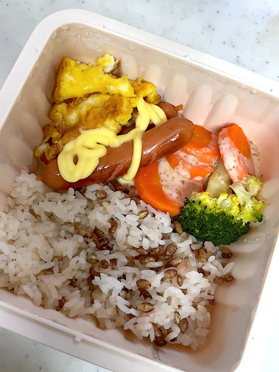 今日のお弁当|りっこさん