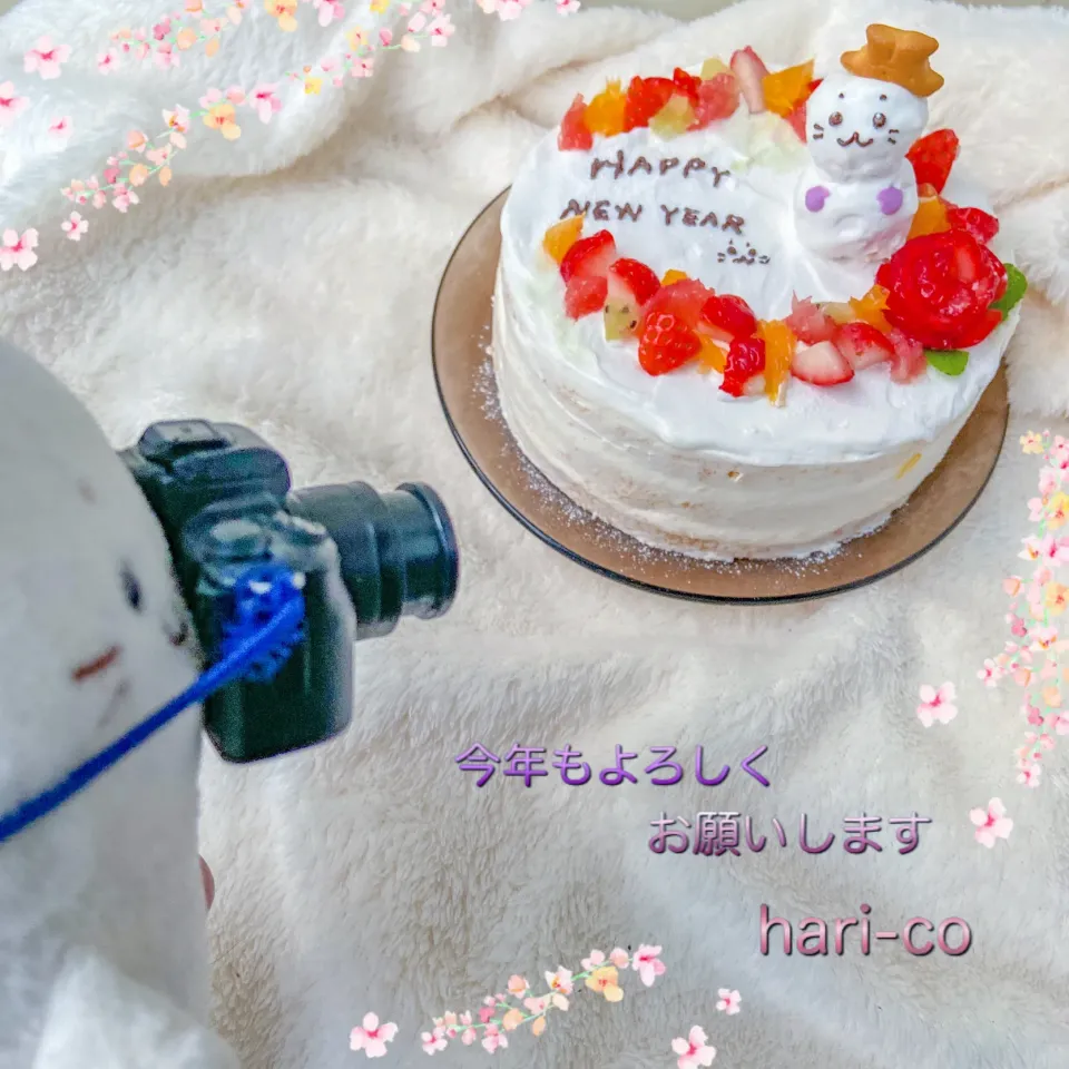 明けましておめでとうございます🌅|hari-co ＊ はりこさん