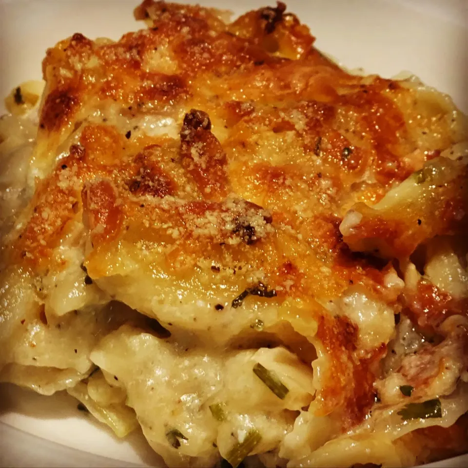 Chicken Alfredo Cheese Baked ! 
Chicken cook in Garlic , Cream sauce with blended Mozzarella & Parmesan Cheese parsley 🌿 Baked in the oven
#alfredo #chicken #p|Emanuel Hayashiさん