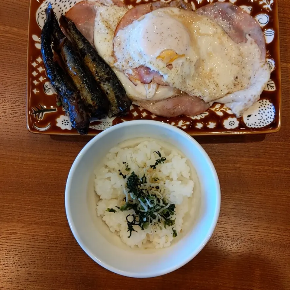 ハムエッグといわしの佃煮|masakuni_itoさん