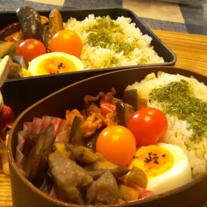 '22．1/9
本日のジジババ弁当🍱|たえさん