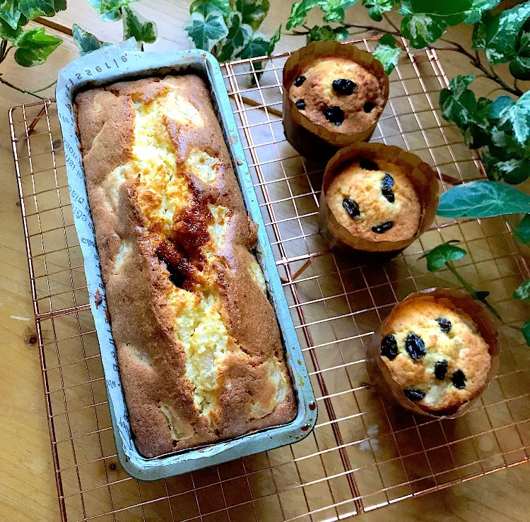 🍎リンゴのケーキが焼き上がりました🍎|Hollyさん