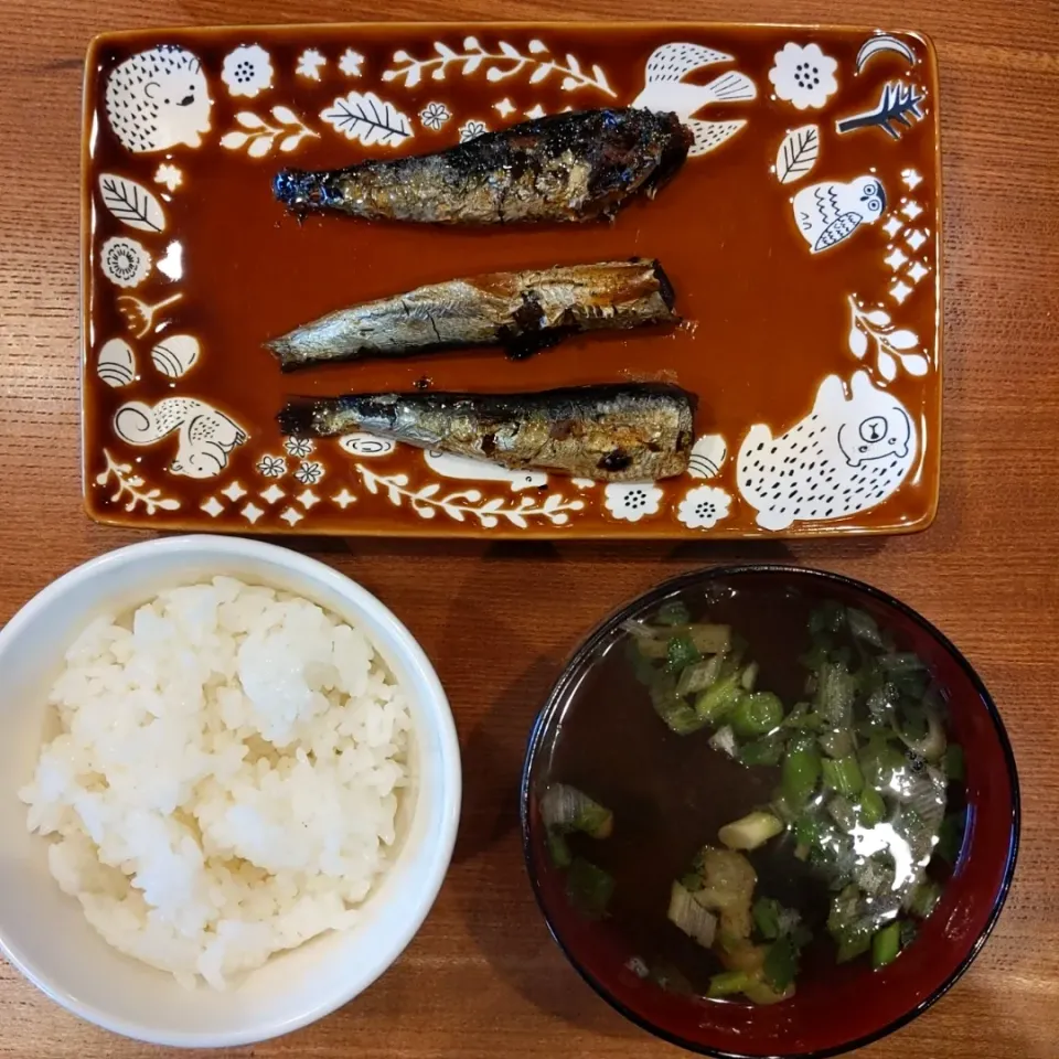 いわしの佃煮とインスタント味噌汁|masakuni_itoさん