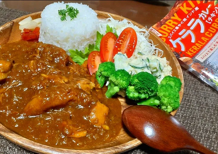 Snapdishの料理写真:南インド風
　ケララカレー🍛
　　(旦那作)|びせんさん