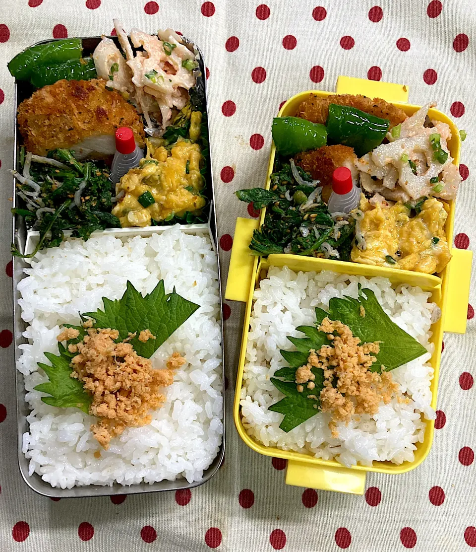 1月11日　今日から平常弁当🍱|sakuramochiさん