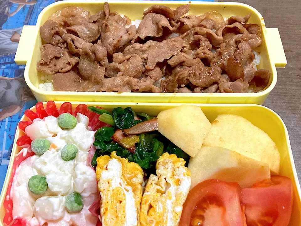 Snapdishの料理写真:焼肉弁当|料理嫌いを直したいさん