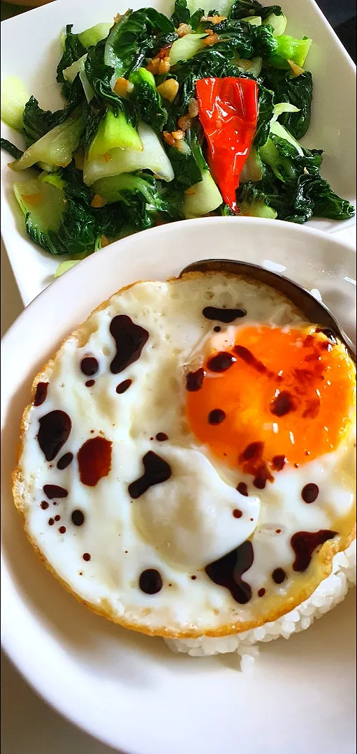 Today's simple lunch 13 Jan 😋
Garlic Nai Bai + Egg + Japanese rice|🌷lynnlicious🌷さん