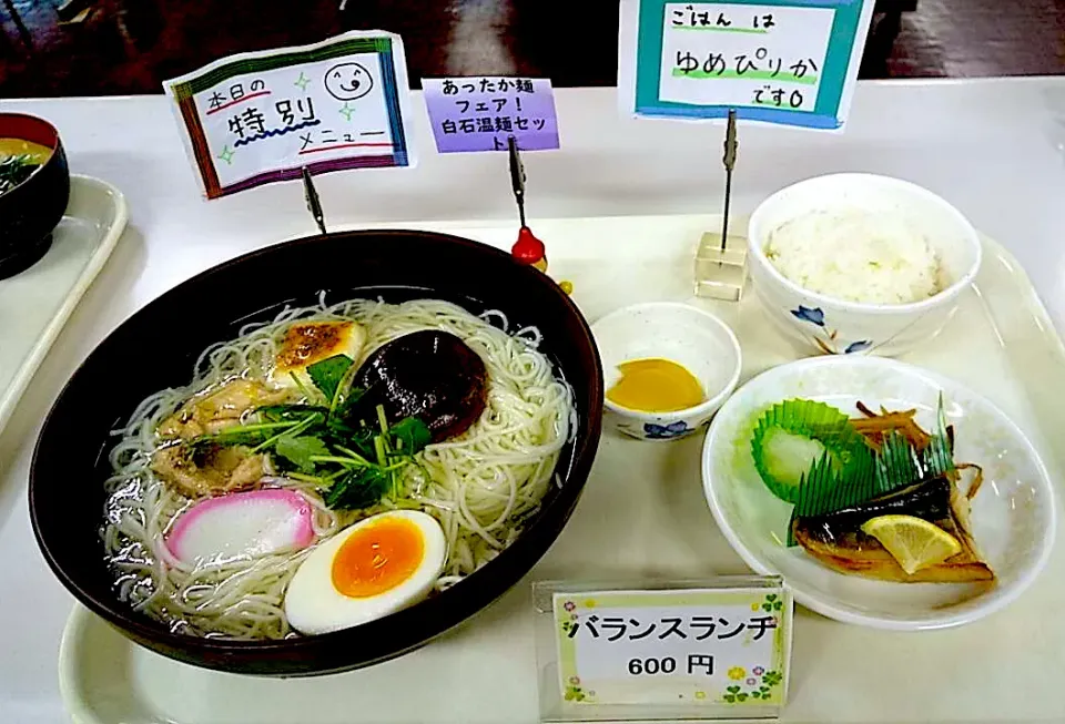 あつあつ麺フェア　宮城県白石市名物　白石うーめんセット|nyama1さん