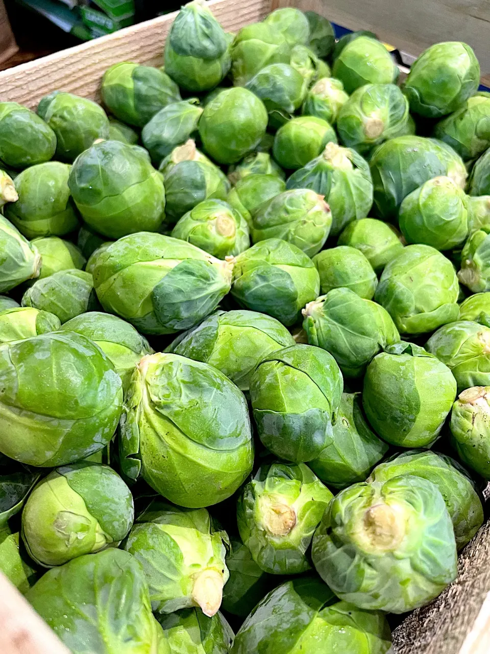 brussel sprouts|hweeyhさん