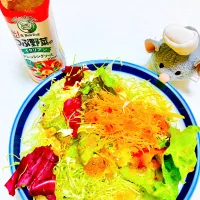 Snapdishの料理写真:つぶ野菜のイタリアンドレッシングサラダ🌼|えまむらさん