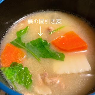 聖護院蕪の間引き菜のお揚げさんの炊いたん プーティ Snapdish スナップディッシュ Id G1wiqa