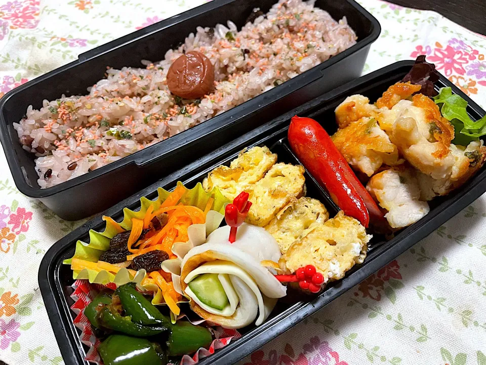 お弁当★ささみの大葉チーズ焼き、チーズ卵、ピーマンの甘辛おかか煮、にんじんのハニーサラダ、ちくわのチーズきゅうり巻き|ハルさん