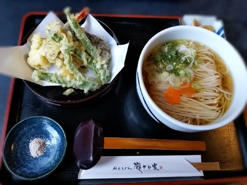 本日のLUNCH|こむぎさん