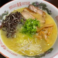 鶏白湯ラーメン|cavatさん