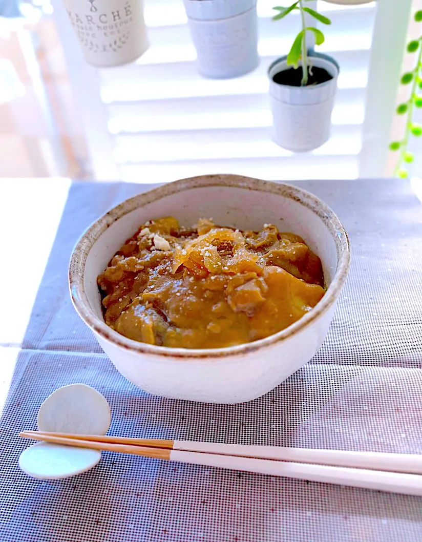 お箸で食べるカレー丼|＊Aloha＊さん