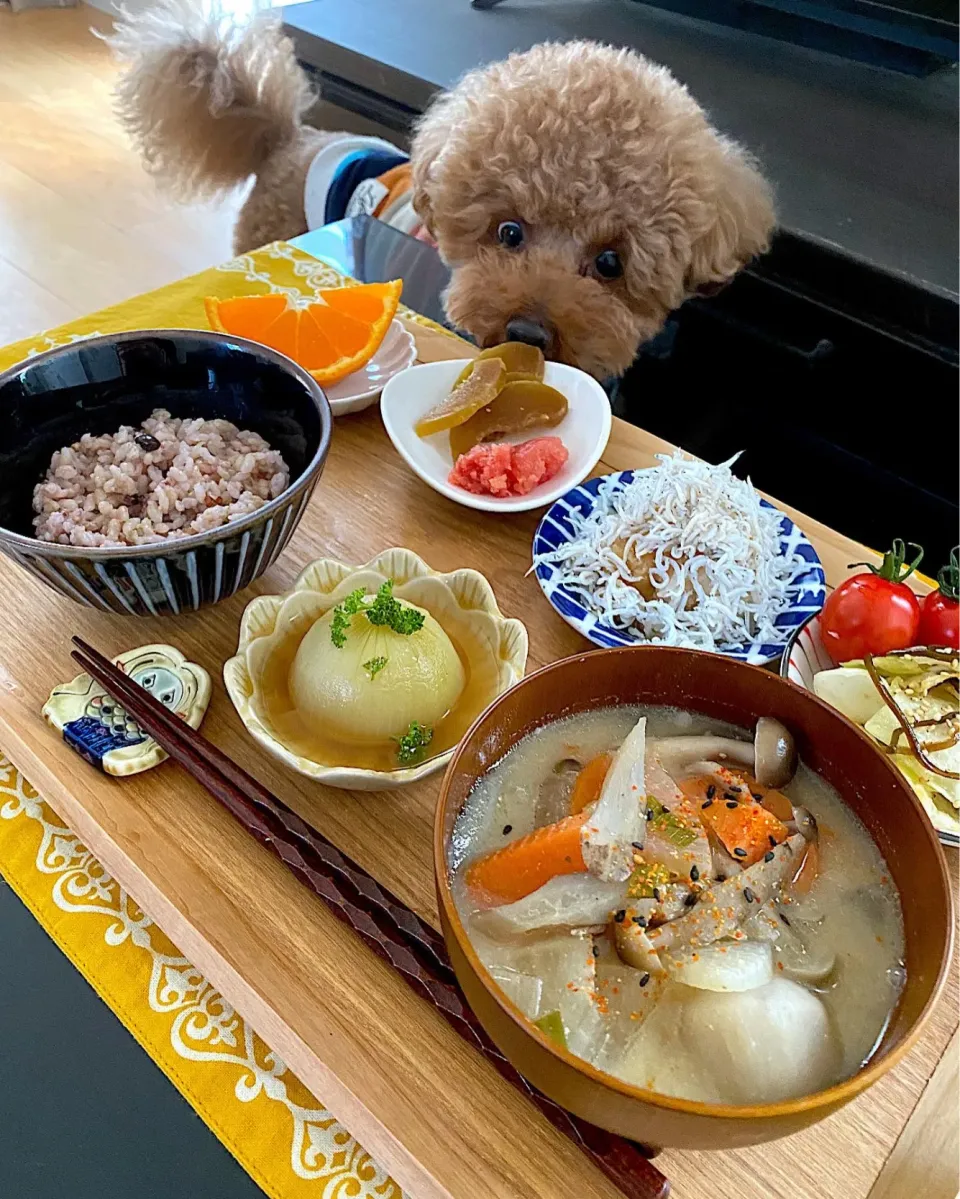 ゆかりさんの料理 和んプレートランチ🍴|ゆかりさん