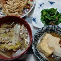 白菜とサバ缶の煮物、揚げ出し豆腐、すり身揚げ、牛蒡のかき揚げ、菜花のお浸し