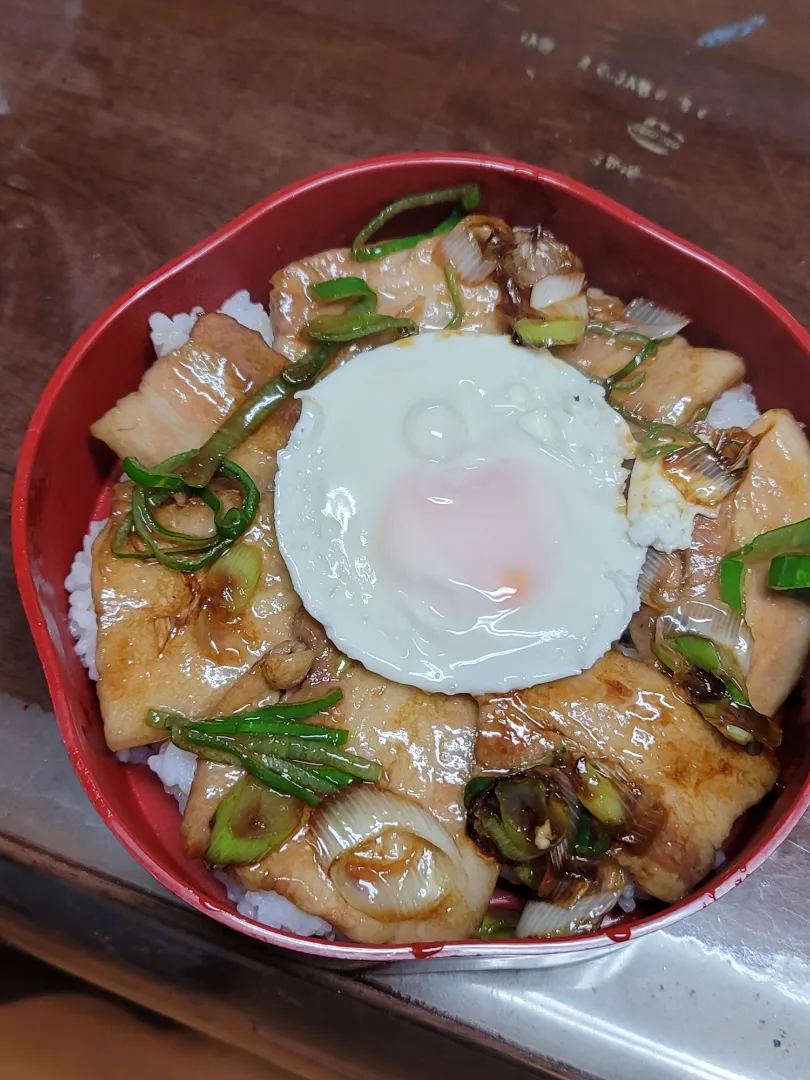 Snapdishの料理写真:豚丼弁当|洋子ちゃんさん