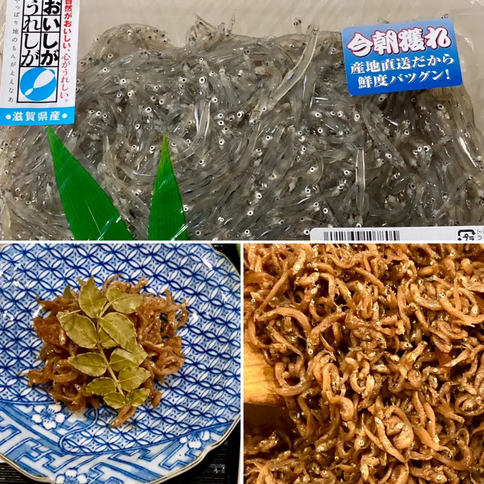 琵琶湖の冬の味覚　氷魚の佃煮|ドルフの美味しい家庭料理さん