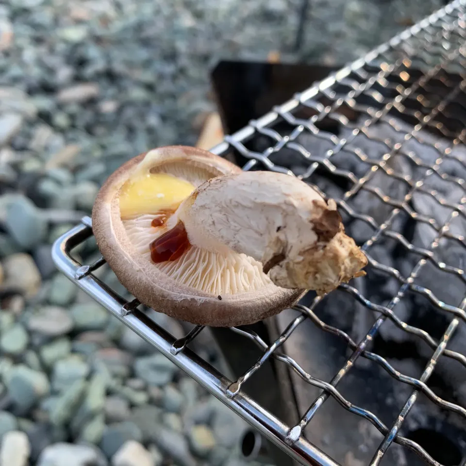 キャンプ飯⛺️焼きしいたけバター醤油|とももさん