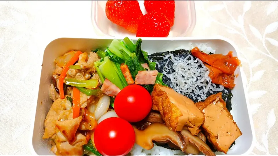 1/25のお弁当🍱
海苔弁当|卯月さん