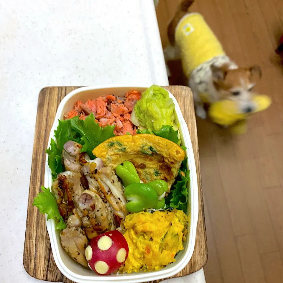 Snapdishの料理写真:鶏手羽弁当|cafe3733さん