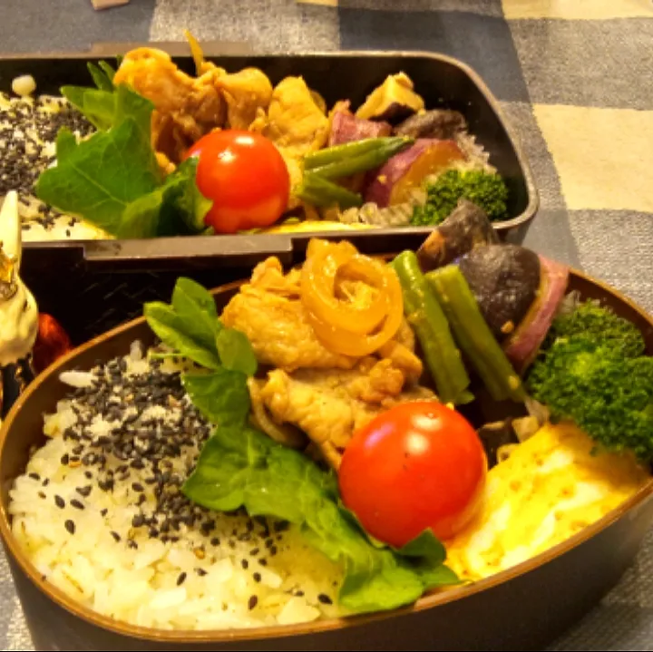 '22．1/28
本日のジジババ弁当🍱|たえさん