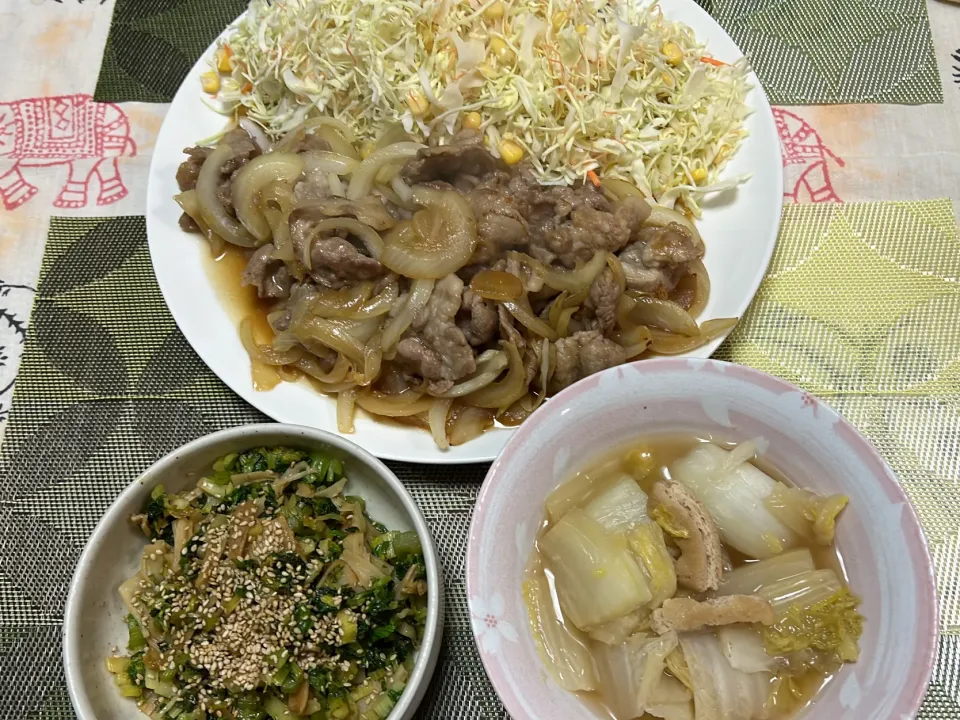 生姜焼き、白菜と油揚げの炊いたん、セロリ葉炒め|peanutsさん