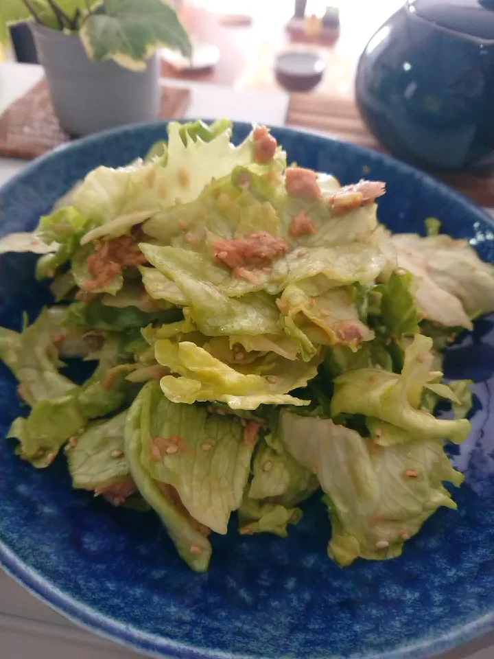 レタスとシーチキンのサラダ|食事メモメモさん