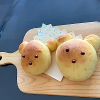 くまさんパン🧸🥐|hiyuさん