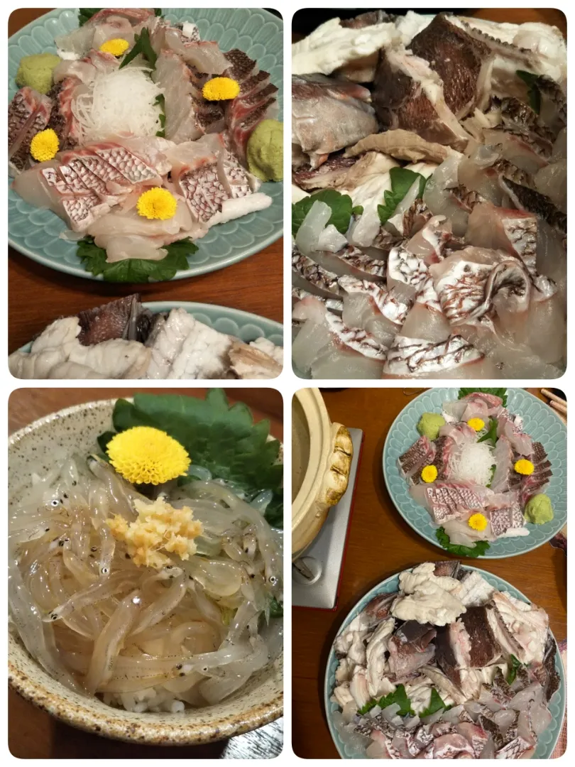 ジージ作🐟️鯛しゃぶ🐟️|きみちさん