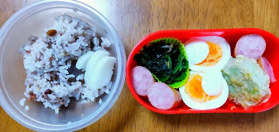 Snapdishの料理写真:2022 0117　お弁当|いもこ。さん