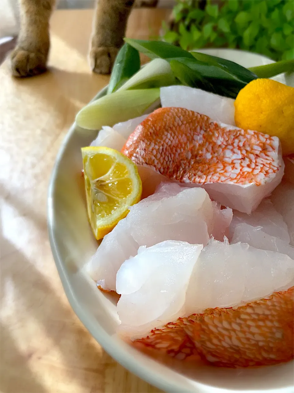 釣り魚🎣ウッカリカサゴの水炊き|9421beruさん