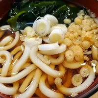 冷やしたぬきうどん|yütaさん