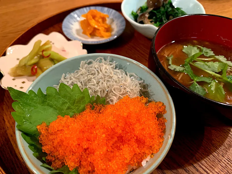 トビコとじゃこ丼|いちごさん