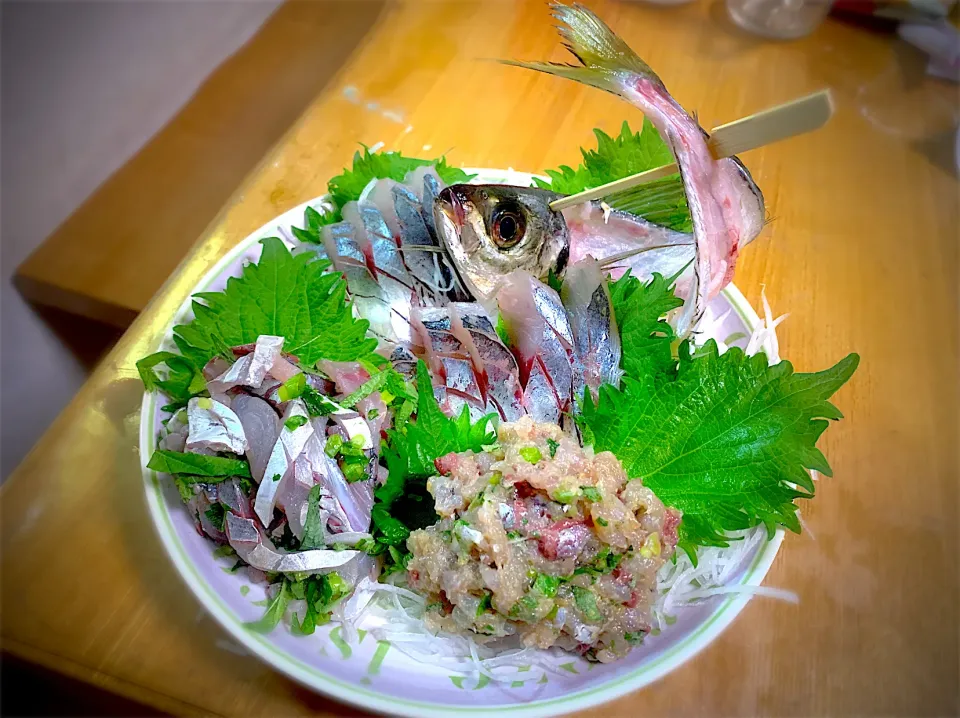 金鯵お刺身&タタキ＆なめろう(東京湾浦賀水道の釣り金鯵)|やまひろさん