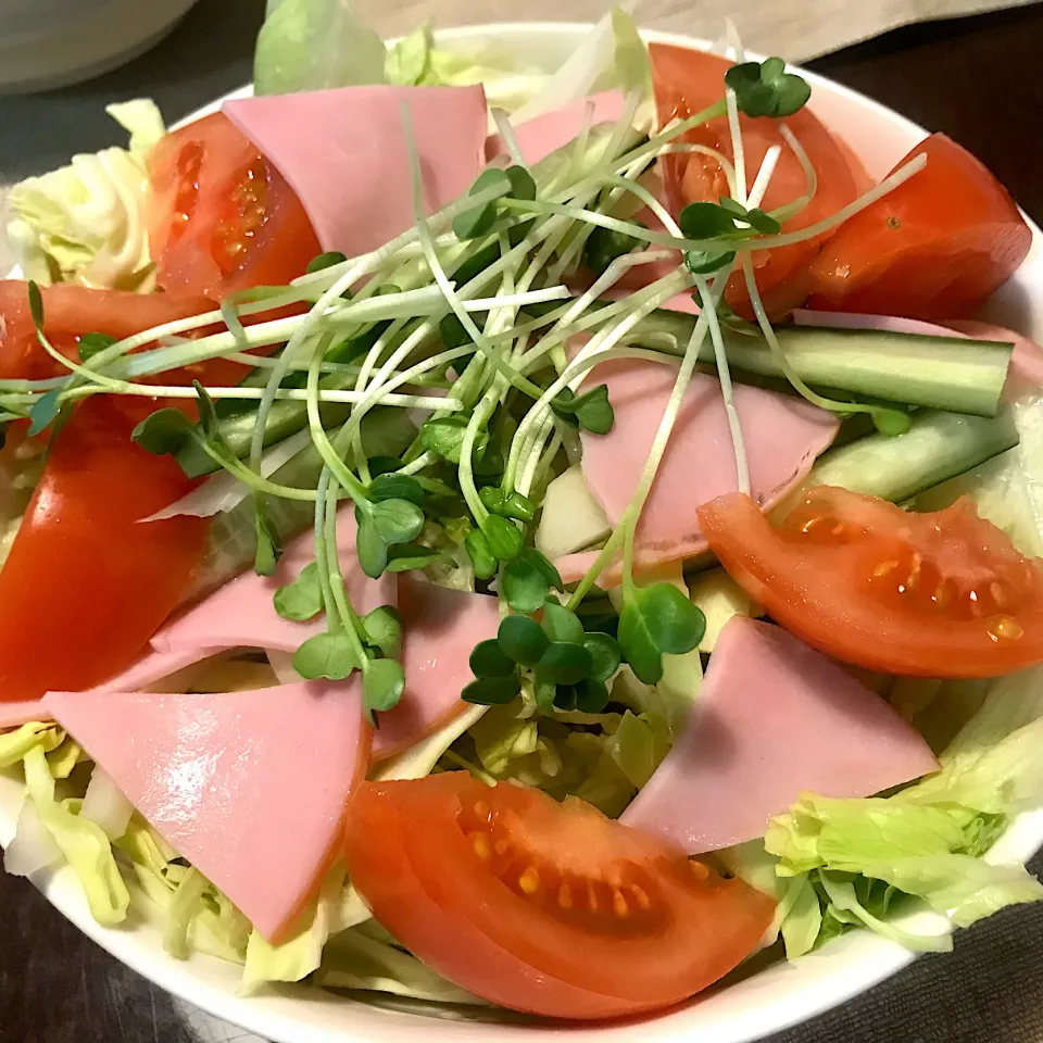 ハム野菜サラダ🥗|純さん